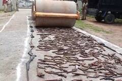 Watch: दतिया में सड़क पर पसरा था हथियारों का जखीरा, वीडियो वायरल, जानें क्या है सच्चाई?