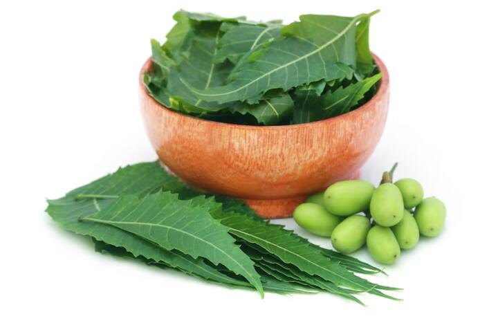 बरसात के मौसम में धूप नहीं लगने की वजह से कपड़े से गंदी बदबू आती है और फंगल इंफेक्शन का भी खतरा बना रहता है.ऐसे में जब भी कपड़े रखें कपड़ों के बीच में नीम की पत्तियों को रखें. इससे ना केवल कपड़ों की  गंध दूर होगी बल्कि ये इंफेक्शन से भी बचाने में मदद करेगा.