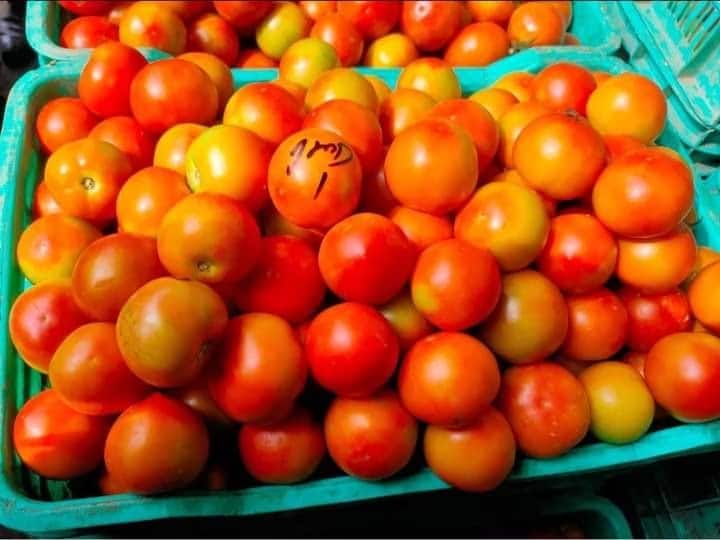 Himachal Pradesh Tomato Price ruined the common man budget Vegetable Price In Solan And Shimla Ann Tomato Price Hike: टमाटर ने बिगाड़ा आम आदमी का बजट, थोक दाम भी 100 रुपये प्रति किलो के पार