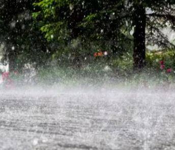 राज्याच्या काही भागात पाऊस (Rain) पडत आहे, तर काही ठिकाणी अद्याप पावसाची प्रतीक्षा कायम आहे. 
सोपो