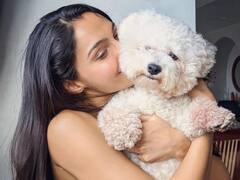 Andrea Jeremiah : 'என் வாழ்க்கையை மாற்றிவிட்டான்..' மனம் திறந்து அன்பை வெளிப்படுத்திய ஆண்ட்ரியா!