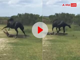 Viral Video: खाली मैदान में भिड़े मगरमच्छ और घोड़े, वीडियो देख बताइए कौन जीता और कौन हारा?