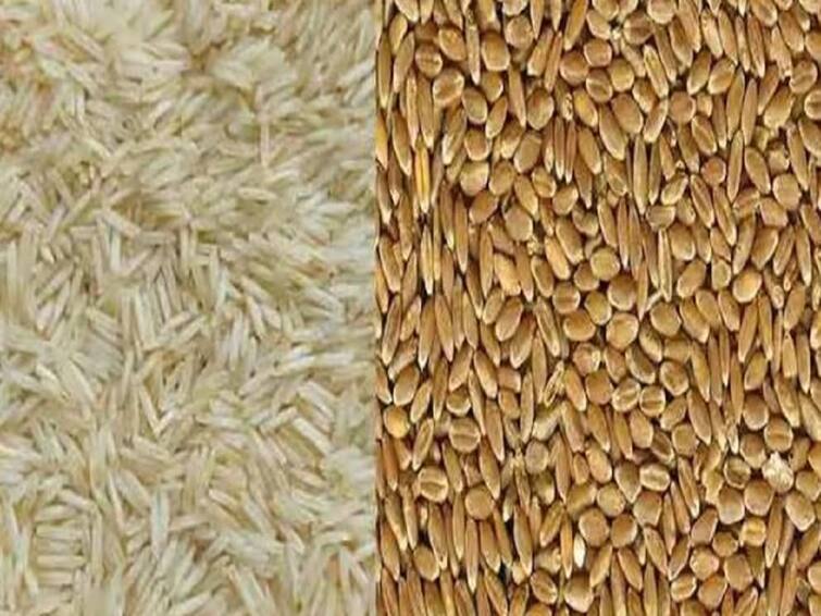 Agriculture News Wheat and rice entered the open market for sale Fci Agriculture News : 38 हजार टन गहू तर 20 हजार टन तांदूळ विक्रीसाठी खुल्या बाजारात, निविदा पाठवण्याचे आवाहन