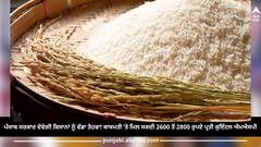 Punjab News: ਪੰਜਾਬ ਸਰਕਾਰ ਦੇਵੇਗੀ ਕਿਸਾਨਾਂ ਨੂੰ ਵੱਡਾ ਤੋਹਫਾ! ਬਾਸਮਤੀ ’ਤੇ ਮਿਲ ਸਕਦੀ 2600 ਤੋਂ 2800 ਰੁਪਏ ਪ੍ਰਤੀ ਕੁਇੰਟਲ ਐਮਐਸਪੀ
