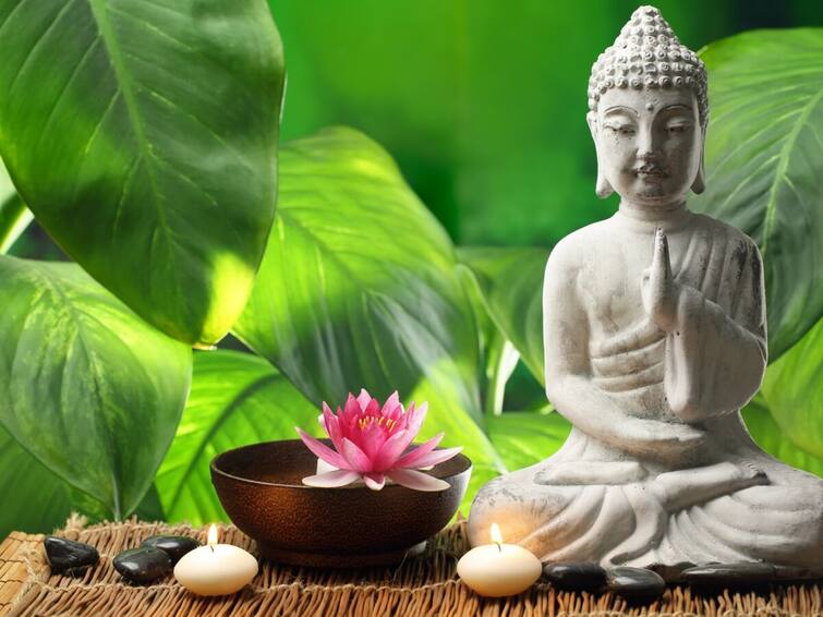 Feng shui tips: These easy feng shui tips can change your life you never feel shortage of money Feng Shui Tips: ફેંગશુઈની આ સરળ ટિપ્સ બદલી નાખશે તમારું જીવન, ક્યારેય નહીં થાય ધન-ધાન્યની કમી