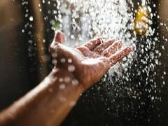 Rain Water: क्या बारिश का पानी सेहत के लिए फायदेमंद होता है? क्या आपको इसे पीना चाहिए?