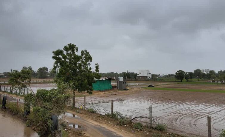 Biporjoy SURVEY: more than 961 villages has effected by the biporjoy cyclone in gujarat, read all survey SURVEY: બનાસકાંઠામાં બિપરજૉયના નુકસાનીનો સર્વે પૂર્ણ, કેટલા ગામોને થઇ અસર ને કયા પાકોને થયુ વધુ નુકસાન
