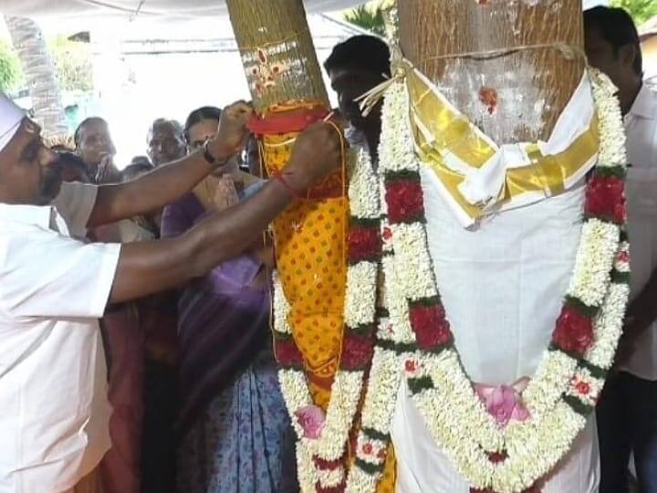 Royal tree -Vembu deity wedding ceremony near Karur TNN கரூர் அருகே அரசு - வேம்பு தெய்வ திருமண விழா - பக்தா்கள் திரளாக பங்கேற்பு