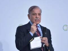 शहबाज शरीफ की बोलती इस पाकिस्तानी ने की बंद, कहा-कश्मीर के लीगल पेपर भारत के पास तो उसका हुआ