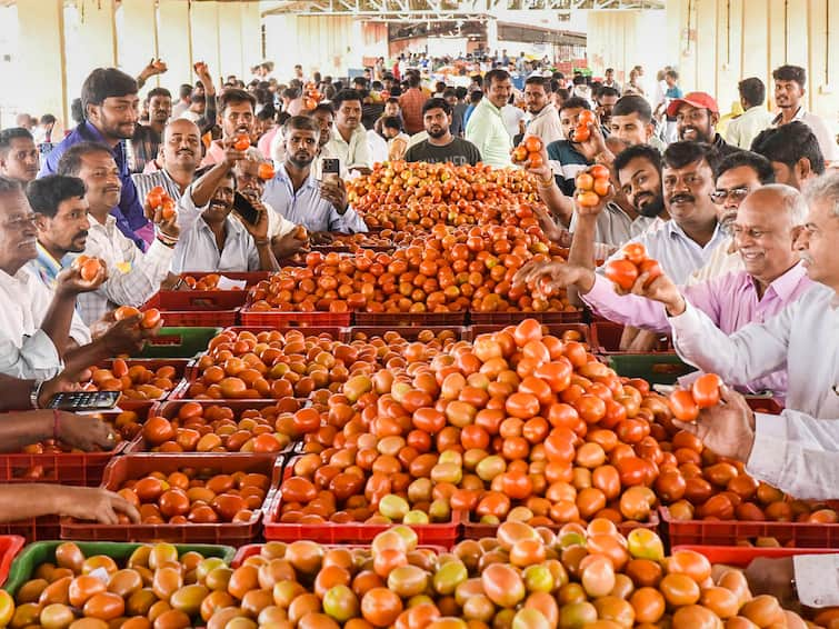 Tomato Prices Touch Rs 150 In UP's Moradabad