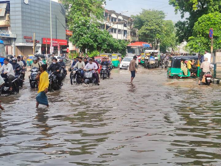 Surat Rain Photo: સુરત શહેરમાં ભાજપના મહિલા કોર્પોરેટરે પાણી ભરાયાનું પણ ગૌરવ લીધું છે. સોશિયલ મીડિયા પર ‘મારો વિસ્તાર, મારું ગૌરવ’ કરીને સુરતના વરસાદી પાણીના ફોટા મૂકતા વિવાદમાં આવ્યા છે.