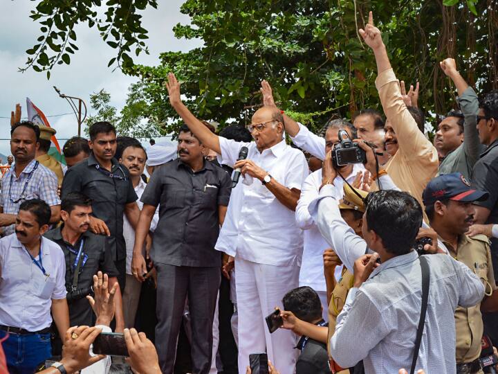 Sharad Pawar master plan to teach lesson to rebels leaders will roar from Chhagan Bhujbal stronghold Maharashtra Political Crisis: शरद पवार ने बागी नेताओं के खिलाफ बनाया ये प्लान, छगन भुजबल के गढ़ से भरेंगे हुंकार