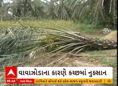 Kutch: કચ્છમાં વાવાઝોડાના કારણે બાગાયતી પાકને થયેલ નુકસાનનો સર્વે પૂર્ણ