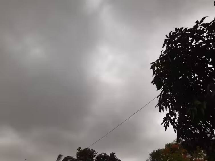 Kolhapur Weather Update last three days no rains despite orange alert in kolhapur district Kolhapur Weather Update: कोल्हापुरात मुसळधारेचा इशारा, पण पावसाचा पत्ताच नाही; खरीप संकटात येण्याची चिन्हं