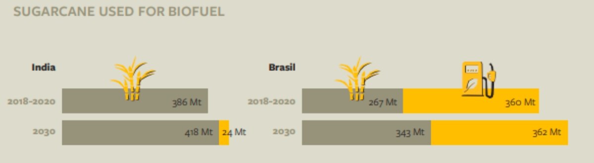 What Worries Small Sugarcane Farmers In India, Brazil And Mexico 