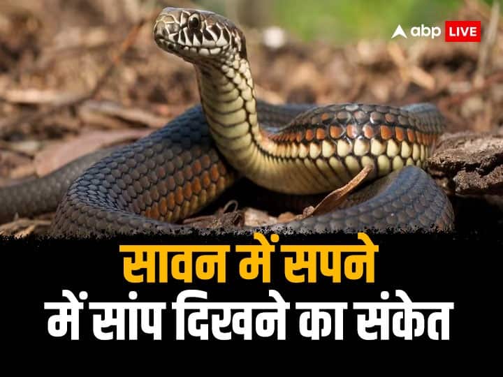 Dream interpretation snake seen in dream meaning know auspicious sign Dream Interpretation: सावन में सपने में दिखे सांप तो मिलते हैं ये शुभ संकेत, जानें इसका मतलब