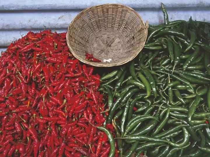 Vegetables Price in Delhi: Tomato Rs 150, Chilli Rs 100, Garlic Rs 300, Coriander Rs 170 per kg Vegetables Price In Delhi: टमाटर के बाद अब मिर्ची, अदरक और धनिया की कीमत ने छुआ आसमान, चेक करें नए रेट