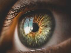 बताइए वो कौन-सा जानवर है, जो आंखें बंद करके भी देख सकता है? ...नहीं मालूम तो यहां पढ़िए जवाब