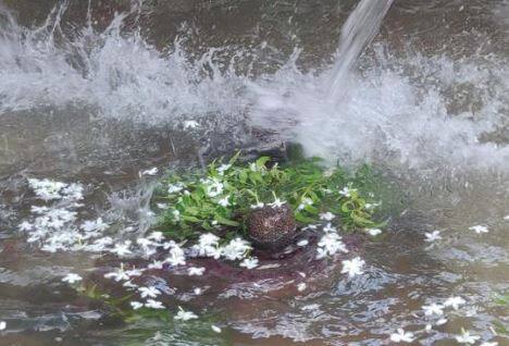 सरसम येथील महिलांनी ग्रामदेवता असलेल्या महादेवाला केला जलाभिषेक