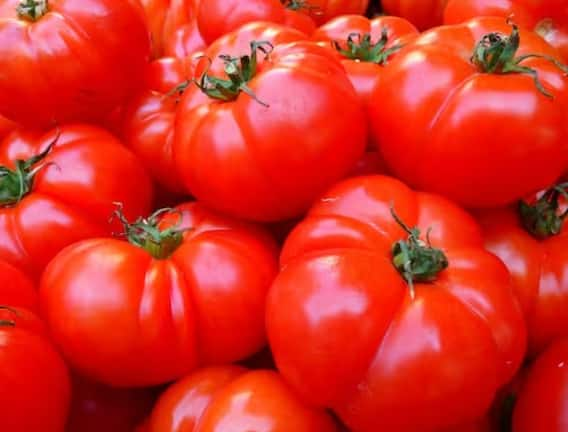 Kidney Stones: Does eating tomatoes really cause kidney stones?  know what is the truth