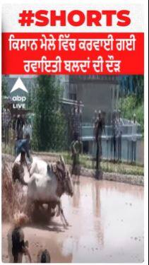 ਕਿਸਾਨ ਮੇਲੇ ਵਿੱਚ ਕਰਵਾਈ ਗਈ ਰਵਾਇਤੀ ਬਲਦਾਂ ਦੀ ਦੌੜ