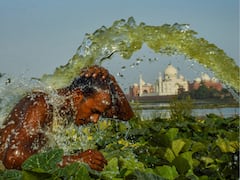 July 4 Was The Hottest Day On Earth, Scientists Predict More Warmer Days Ahead: Report