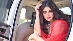 'এই ছবিতে আমার চরিত্র দর্শকের জন্য একটা চমক', মৈনাকের 'গৃহস্থ' সম্পর্কে ঋতাভরী