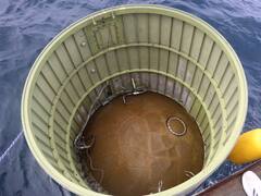 South Korea Recovers North's Satellite, Says It Had No Military Use