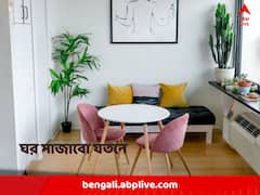 শখই যখন পেশা, ইন্টিরিয়র ডিজাইনিং নিয়ে পড়তে চান? কোথায় কী সুযোগ রয়েছে