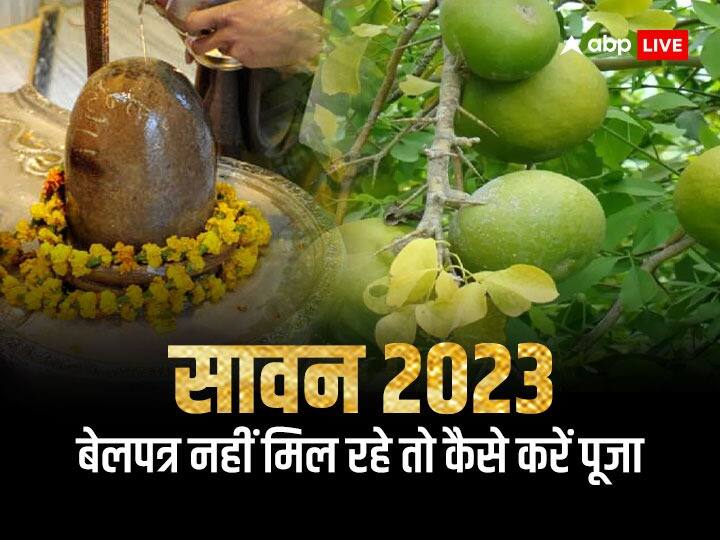 Sawan 2023: सावन का महीना शुरू होते ही चारों ओर माहौल भी भक्तिमय हो चुका है. सावन माह शिवजी की पूजा के लिए समर्पित है. शिवजी की पूजा में बेलपत्र का महत्व होत है और इसके बिना पूजा अधूरी मानी जाती है.