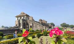 એમપીના આ પ્રવાસન સ્થળોએ માણો મોનસૂન, જુઓ તસવીરોમાં કુદરતી સૌંદર્ય