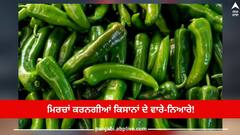 ਮਿਰਚਾਂ ਕਰਨਗੀਆਂ ਕਿਸਾਨਾਂ ਦੇ ਵਾਰੇ-ਨਿਆਰੇ! ਪੰਜਾਬ ਸਰਕਾਰ ਉਠਾਉਣ ਜਾ ਰਹੀ ਵੱਡਾ ਕਦਮ, ਕਾਸ਼ਤ, ਪ੍ਰੋਸੈਸਿੰਗ ਤੇ ਬਰੈਂਡਿੰਗ ਦੀ ਮਿਲੇਗੀ ਸਿਖਲਾਈ
