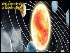 Venus in Leo Transit 2023: సింహరాశిలో శుక్ర సంచారం, మీ రాశిపై ప్రభావం ఎలా ఉంటుందో తెలుసా!