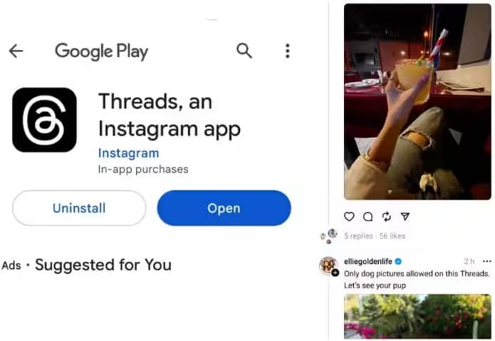 Twitter vs Meta: Instagram launches Threads to take on Elon Musk's Twitter Twitter vs Meta: Twitter ને ટક્કર આપવા માટે મેટાએ લોન્ચ કરી Threads એપ, આ રીતે કરી શકશો ડાઉનલોડ