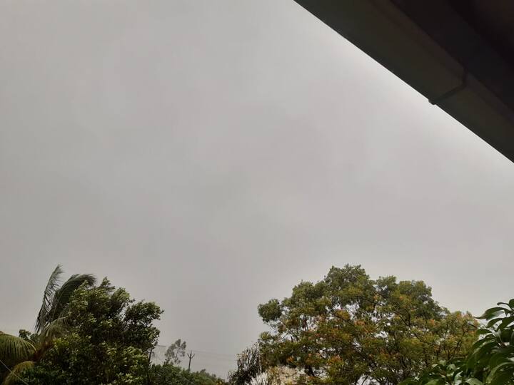 पावसाचा अंदाज घेत जिल्ह्यात आतापर्यंत केवळ 36 टक्क्यांवर पेरण्या पूर्ण झाल्या आहेत.