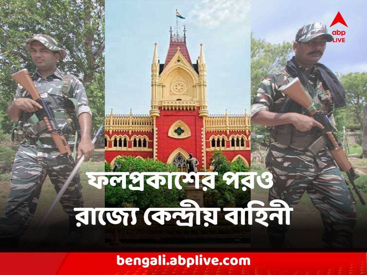 Panchayat Election Calcutta High Court Orders Central Force will Stay in State for ten more days after election results Panchayat Election : 'ভোটের ফলপ্রকাশের পরেও ১০ দিন রাজ্যে থাকবে কেন্দ্রীয় বাহিনী' নির্দেশ কলকাতা হাইকোর্টের