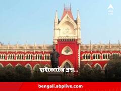 'আঘাতে চোখ নষ্ট, তাও কীভাবে লঘু ধারা? পুলিশের ভূমিকায় প্রশ্ন হাইকোর্টের