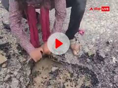 पूर्णिया में हाथों से सड़क उखाड़ते वीडियो वायरल, अमौर अप्रोच पथ के निर्माण कार्य में लोगों ने भ्रष्टाचार का लगाया आरोप