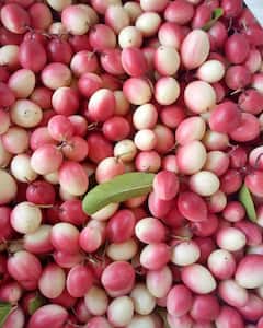 इस लाल रंग के फल में छिपा है सेहत का राज...क्या आपने कभी चखा है इसका स्वाद