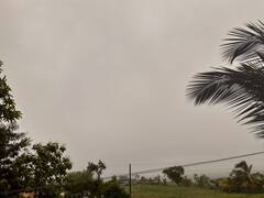 Kolhapur Weather Update: तीन दिवसांच्या उघडीपनंतर कोल्हापुरात पावसाचा जोर