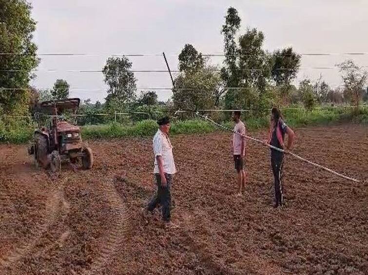 Agriculture News Danger has arisen due to electric wires falling in the fields in bhandara mseb Agriculture News : कृषी पंप धोरण उठलं शेतकऱ्यांच्या जीवावर, पोल कोसळल्यानं विद्युत तारा शेतात; तक्रार करुनही महावितरणचं दुर्लक्ष 