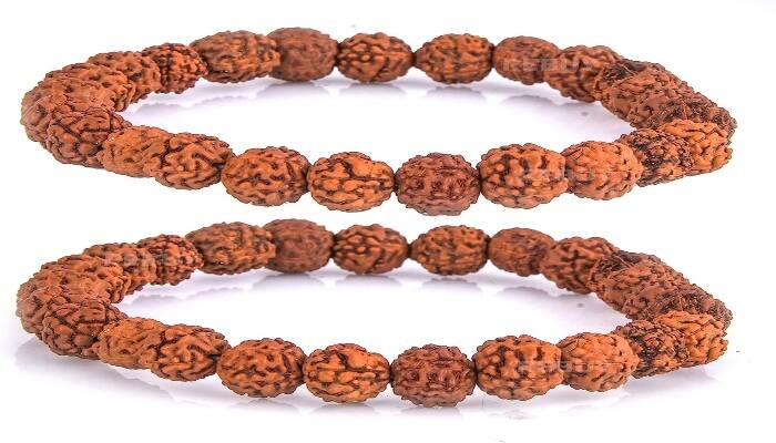 Rudraksha : ਰੁਦਰਾਕਸ਼ ਵਿੱਚ ਸ਼ਿਵ ਜੀ ਦਾ ਨਿਵਾਸ ਮੰਨਿਆ ਜਾਂਦਾ ਹੈ। ਕਿਹਾ ਜਾਂਦਾ ਹੈ ਕਿ ਰੁਦਰਾਕਸ਼ ਪਹਿਨਣ ਨਾਲ ਹਰ ਸੰਕਟ ਦੂਰ ਹੁੰਦਾ ਹੈ, ਕੰਮ ਪੂਰੇ ਹੋ ਜਾਂਦੇ ਹਨ ਪਰ ਅਸੀਂ ਜਾਣਦੇ ਹਾਂ ਕਿ ਕਿਹੜੇ ਲੋਕਾਂ ਨੂੰ ਰੁਦਰਾਕਸ਼ ਨਹੀਂ ਪਹਿਨਣਾ ਚਾਹੀਦਾ।