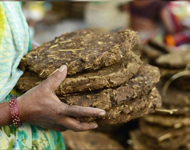 Farmers : Cow Dung Business will Make You Rich Farmer Must Try Farmers : ગાયના ગોબર સાથે સંકળાયેલો આ બિઝનેસ તમને બનાવી દેશે અમીર