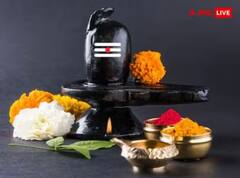 Sawan 2023: ਆਸਾਨੀ ਦੇ ਨਹੀਂ ਮਿਲ ਰਹੇ ਬੇਲਪੱਤਰ ਤਾਂ ਸਾਵਣ ਵਿੱਚ ਭਗਵਾਨ ਸ਼ਿਵ ਦੀ ਪੂਜਾ ਕਿਵੇਂ ਕਰੀਏ...ਇੱਥੇ ਜਾਣੋ