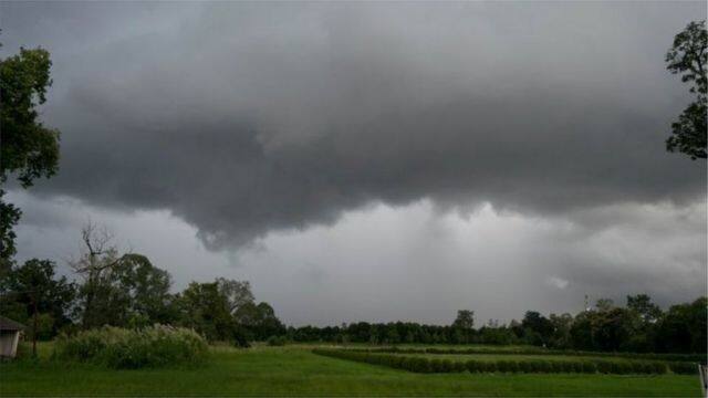 Heavy rain forecast in gujarat  tomorrow, red alert issued in these three districts Weather Update: ગુજરાતમાં આવતી કાલે આ જિલ્લામાં ભારે વરસાદનું અનુમાન, આ ત્રણ જિલ્લામાં અપાયું રેડ એલર્ટ