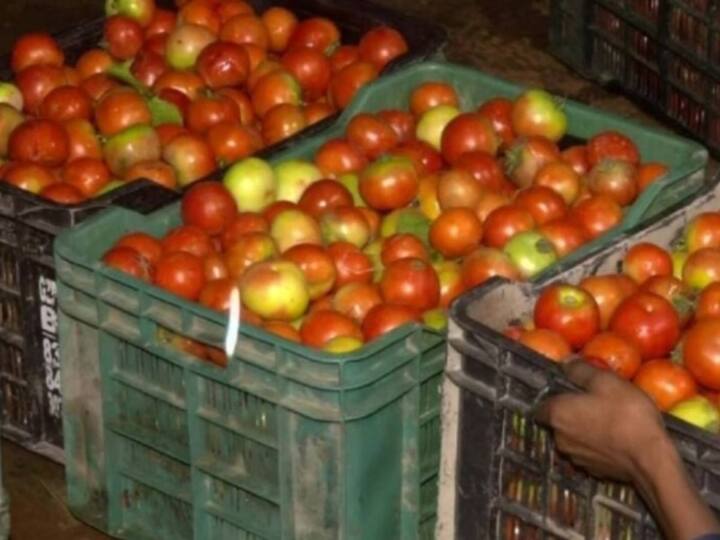 Tomatoes Worth Rs 2.5 Lakh Stolen From Karnataka Farmer As Prices Skyrocket రైతుల్ని నిలువునా ముంచుతున్న టమాటా దొంగలు, కర్ణాటక తెలంగాణలో వరుస చోరీలు
