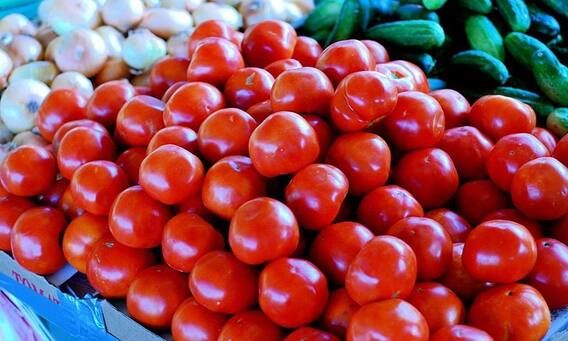 Tomato Prices Hike : టమోటాలున్నాయంటే కాపాడుకోవటానికి నానా తిప్పలు | ABP Desam