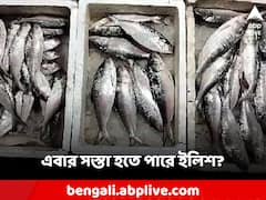 কাকদ্বীপ-নামখানায় ঝাঁকে ঝাঁকে ইলিশ, তবে কি এবার দাম কমবে রুপোলি শস্যর?