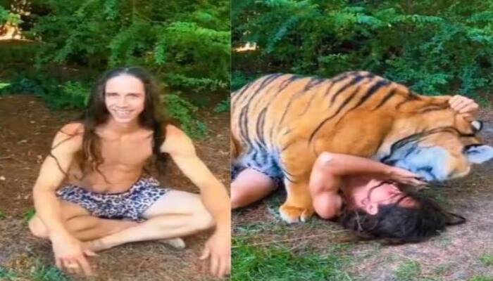 Tiger Attack Man and Start playing with him Video Viral on Social Media ਜੰਗਲ 'ਚ ਆਰਾਮ ਨਾਲ ਬੈਠਾ ਸੀ ਸ਼ਖਸ , ਅਚਾਨਕ ਟਾਈਗਰ ਨੇ ਕਰ ਦਿੱਤਾ ਹਮਲਾ ,ਰੌਂਗਟੇ ਖੜੇ ਕਰ ਦੇਵੇਗਾ ਇਹ ਵੀਡੀਓ