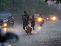 Rain Lashes Parts Of Delhi, Causes Waterlogging At Several Places: SEE PICS